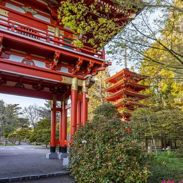 Japanese Tea Garden Temple